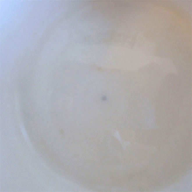 Stig Lindberg / スティッグ・リンドベリ  Adam/アダム ティーカップ＆ソーサー サブ画像5