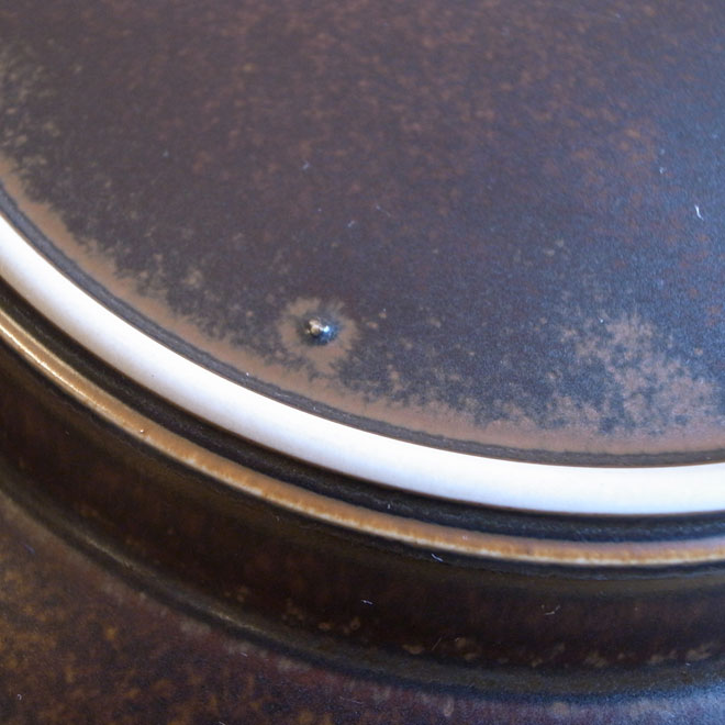 Ulla Procope / ウラ・プロコッペ ARABIA Ruska / ルスカ ディナープレート【25.5ｃｍ】 サブ画像5