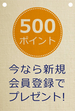 500ポイントプレゼントキャンペーン中